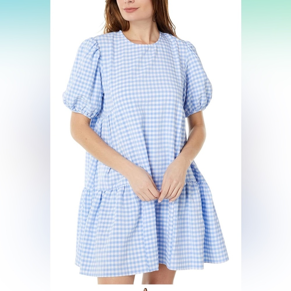 Anthropologie En Saison Format Gingham Mini Dress‎ Size Large Seersucker cottage